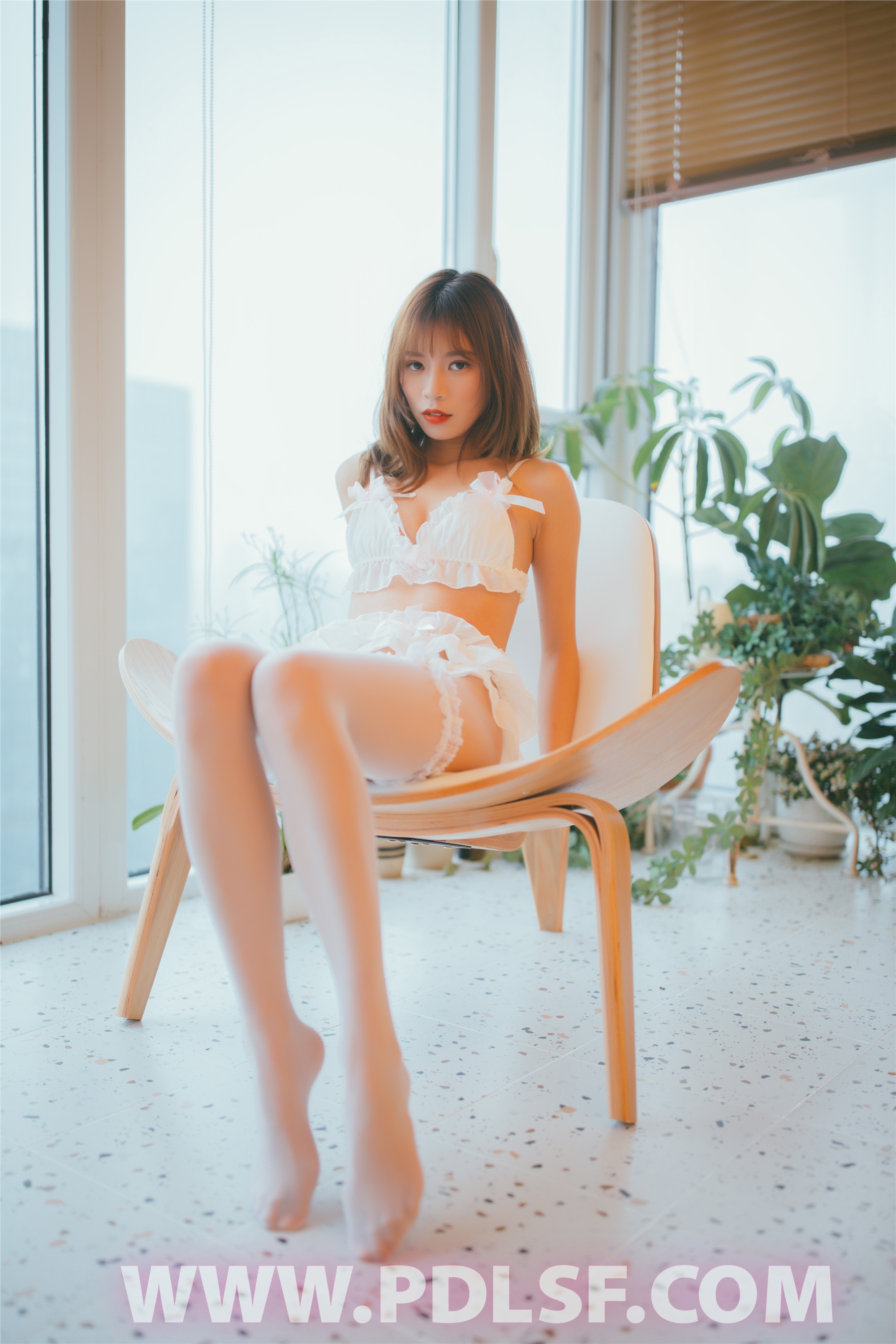 PDL潘多拉 2020.02.09 专辑No.279